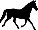 Horse/Pony Flicker Brush