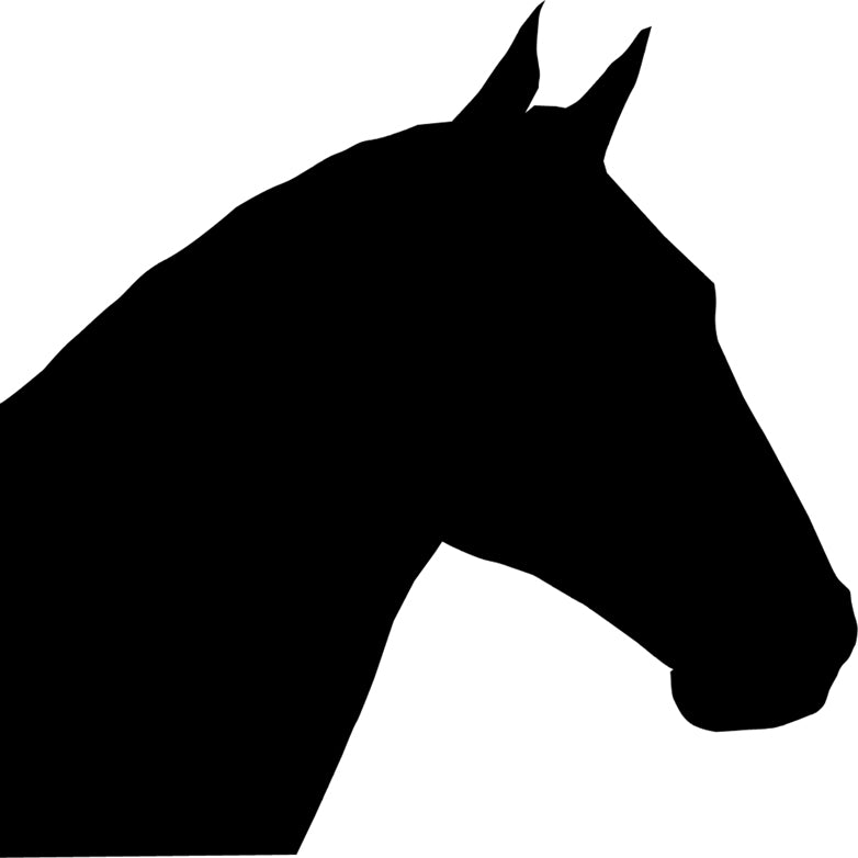 Personalised Hoof pick