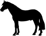 Horse/Pony Flicker Brush
