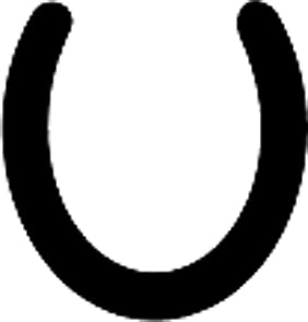 Personalised Hoof pick